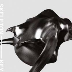 Skeleton Key : Gravity Is the Enemy